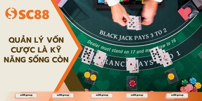 Cần nắm rõ cách phân bổ vốn hợp lý để tồn tại lâu dài trên bàn cược
